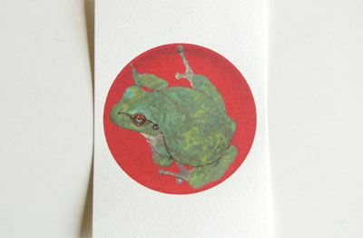 月蛙　ポストカード　『皿蛙』［10004］