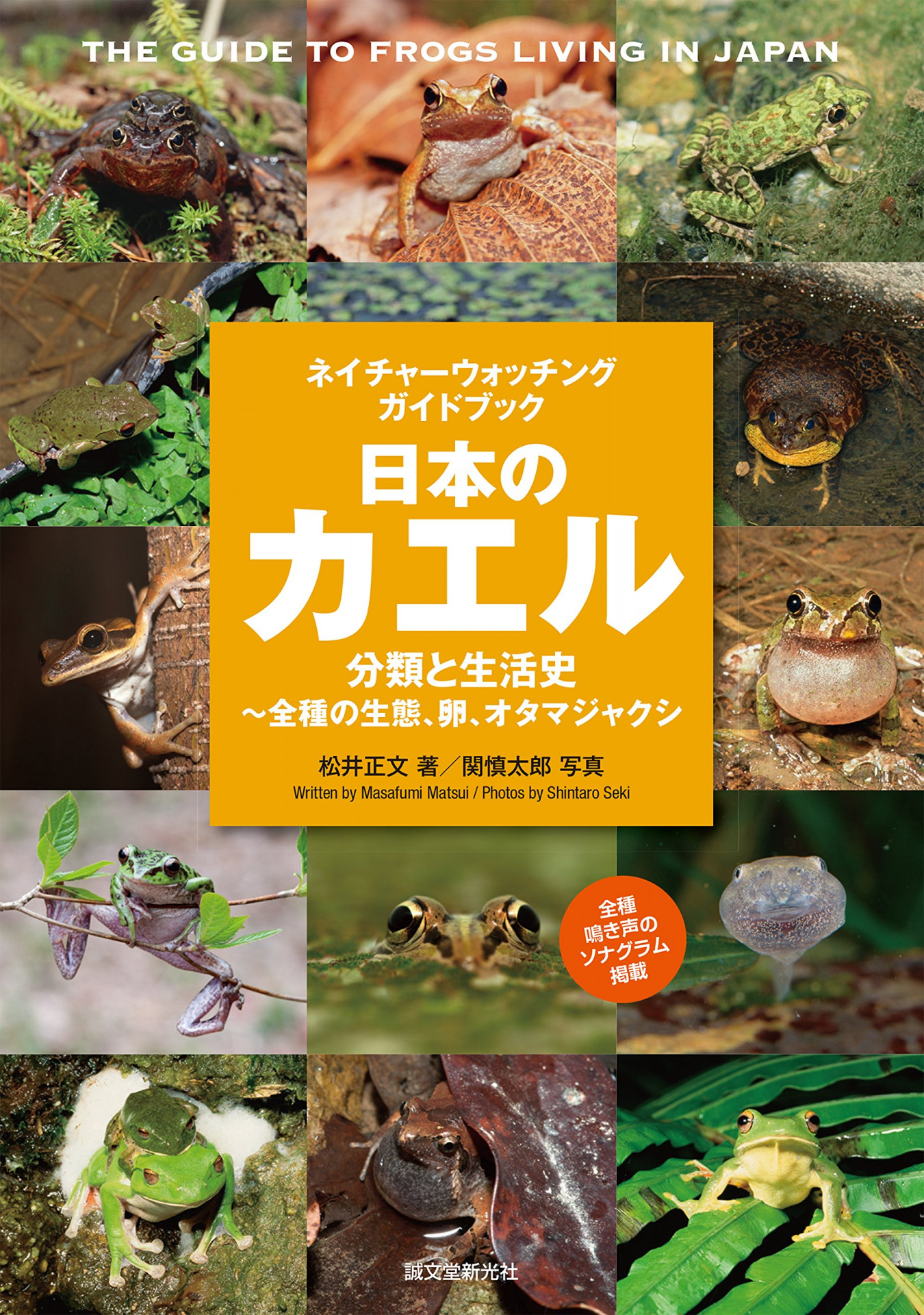 カエルの図鑑　日本のカエル 分類と生活史〜全種の生態、卵、オタマジャクシ