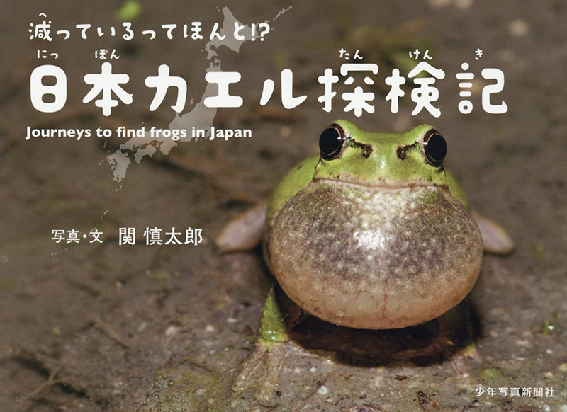 カエルの図鑑　減っているってほんと？日本カエル探検記（少年写真絵本）