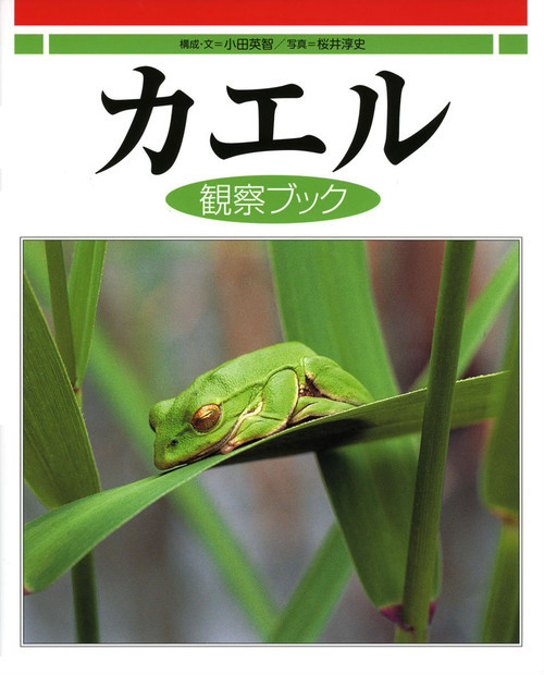 アマガエルとくらす 3冊セット - 絵本