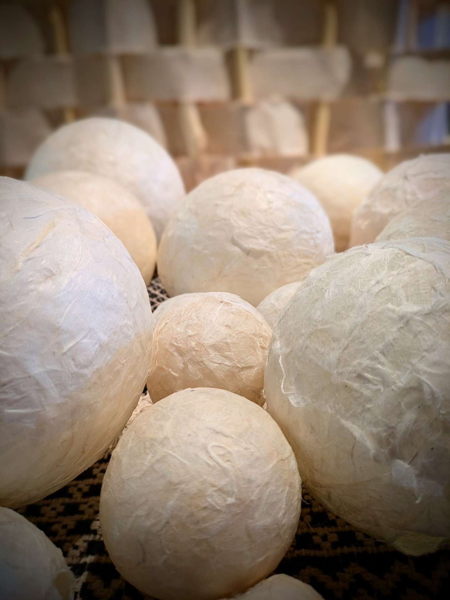 関西万博出展kamito作品製作アルバム